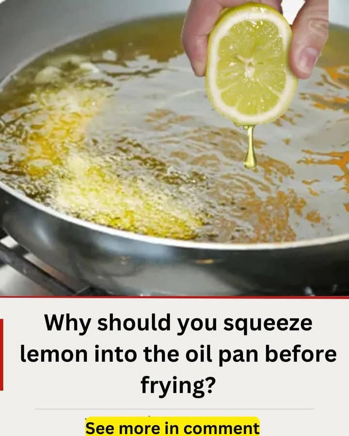 WhatsApp Image 2025 05 05 at 01.31.27