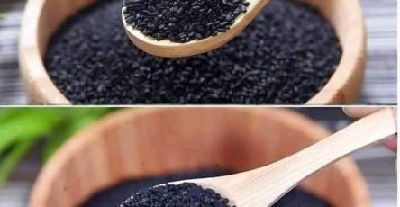 WhatsApp Image 2025 05 08 at 15.29.55