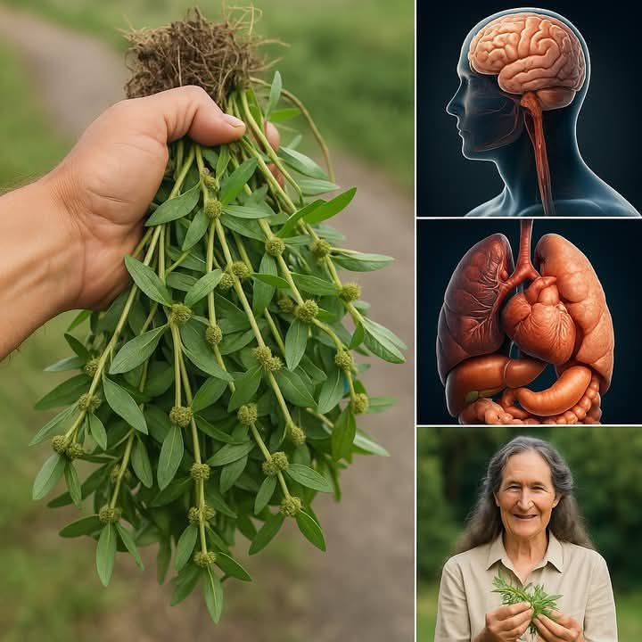 WhatsApp Image 2025 05 11 at 19.05.10