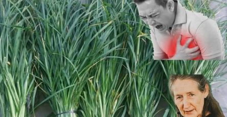 WhatsApp Image 2025 05 12 at 18.48.24