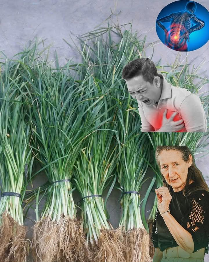 WhatsApp Image 2025 05 12 at 18.48.24