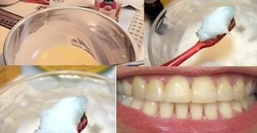 D151b437 e475 4be0 8c68 dfa2b9c95f79