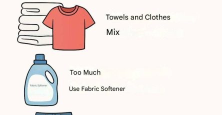 WhatsApp Image 2025 10 06 at 11.45.23 f7f46669