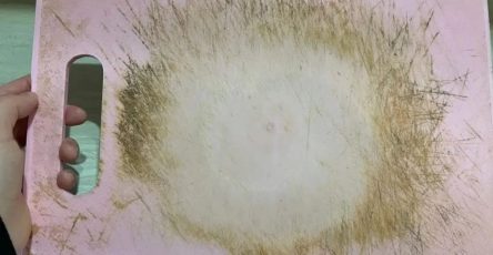 WhatsApp Image 2025 11 11 à 02.28.14 7104aae9