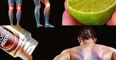 WhatsApp Image 2025 11 12 à 21.16.02 3dd6aae3