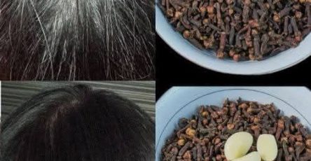 WhatsApp Image 2025 11 13 à 00.53.44 f216ffc1