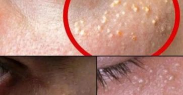 WhatsApp Image 2025 11 19 à 22.41.49 b3e5d688