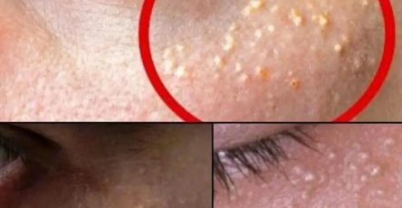 WhatsApp Image 2025 11 19 à 22.41.49 b3e5d688