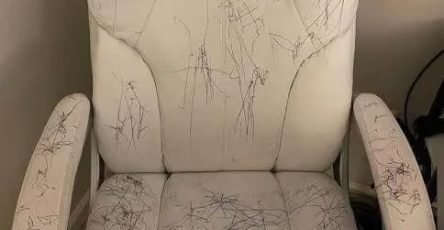 WhatsApp Image 2025 11 20 à 00.21.37 cab3f423