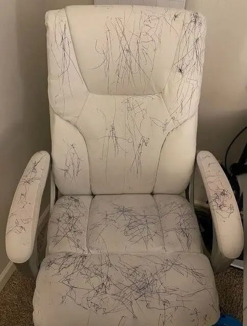 WhatsApp Image 2025 11 20 à 00.21.37 cab3f423