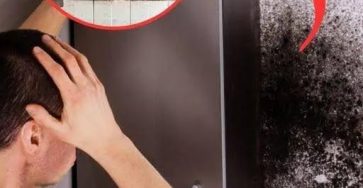 WhatsApp Image 2025 11 21 à 13.25.17 bc6abe78