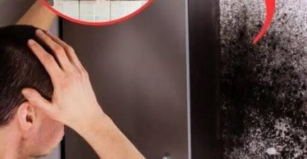 WhatsApp Image 2025 11 21 à 13.25.17 bc6abe78