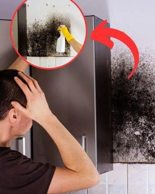 WhatsApp Image 2025 11 21 à 13.25.17 bc6abe78