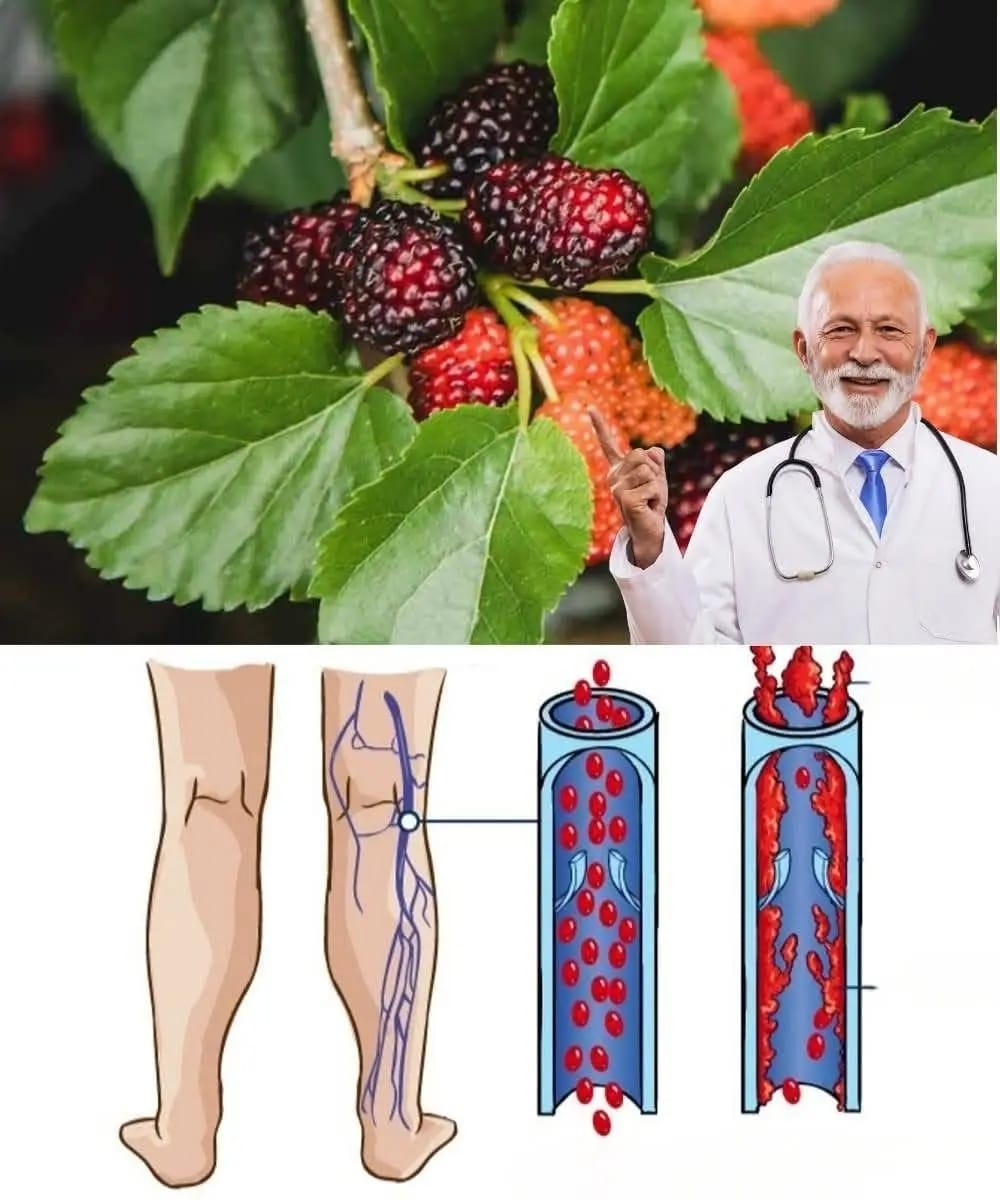 WhatsApp Image 2025 11 21 à 13.33.48 09daad35