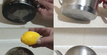 426830212 122116913702194870 5121718084109267138 n 768x922