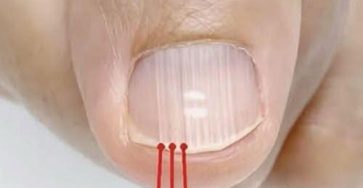 603943909 4316642755241271 7554411776004481803 n