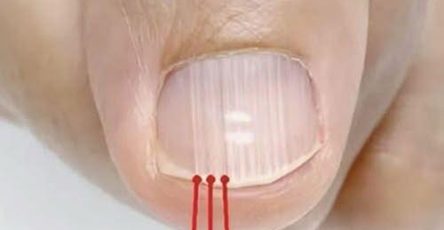 603943909 4316642755241271 7554411776004481803 n