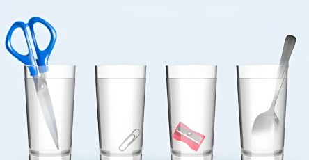 486458801 1063754099122498 1944882839431629472 n