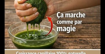 629267452 122111806449198781 4848988740917213576 n