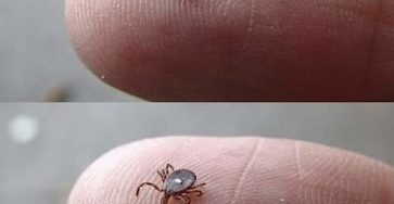 630985593 122097858375255844 6264771080413107098 n